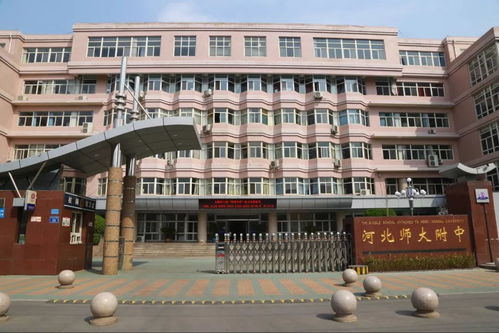 河北师大附中，河北师大附中乒乓少年背向我