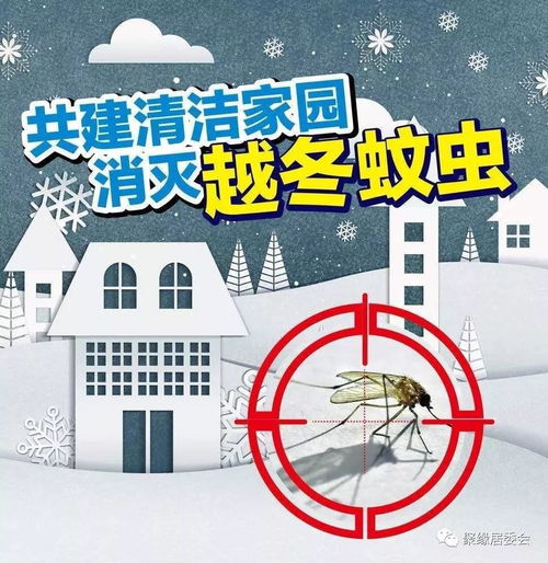 寻找安乐窝