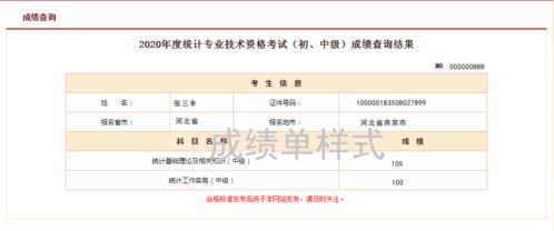 统计师考试成绩查询