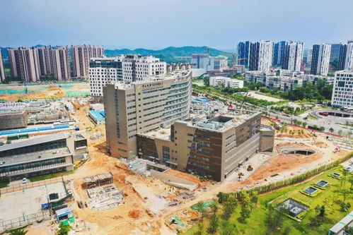 大学城有哪些大学?
