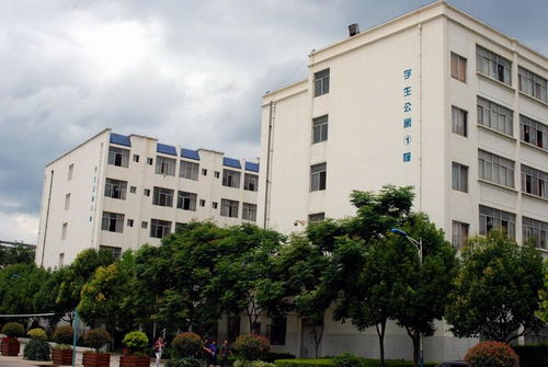 云南科技信息职业学院，云南科技信息职业学院官网