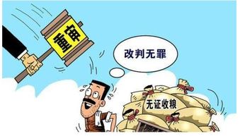 再审期限，再审期限超过6个月怎么办