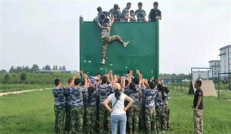 拓展训练的项目有哪些?