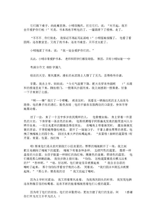 满分作文大全600字，满分作文600