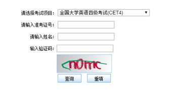 大学四级英语成绩在哪儿查询呢?