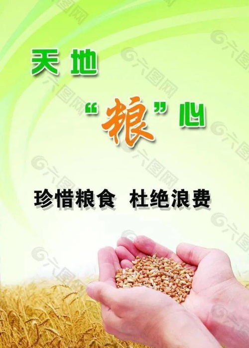 节约粮食英语
