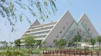 上海工程技术大学王牌专业
