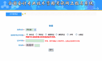 怎么进入河北省会计人员信息采集网