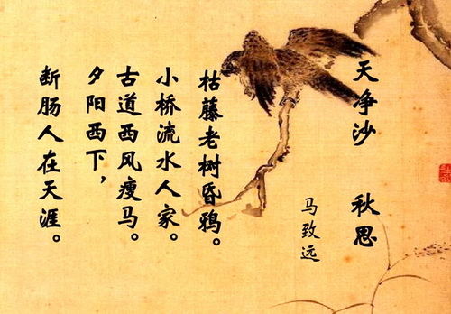 天净沙秋思教案