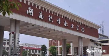 湖南软件职业学院有哪些专业