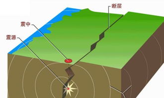 地震波，地震波分为