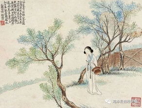 抱布贸丝，抱布贸丝是什么意思