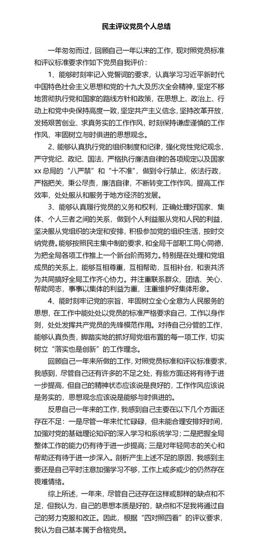 民主评议自我评价