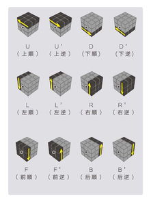魔方口诀表上左下右下，魔方口诀表上左下右下第一层