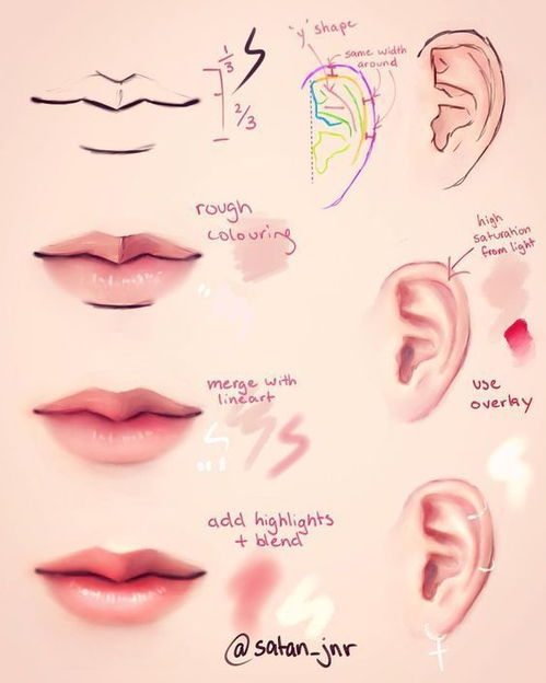 人体的五官是指哪五个