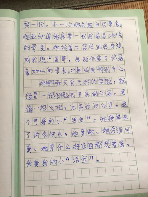 作文家，作文家乡