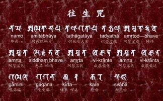 《往生咒》全文