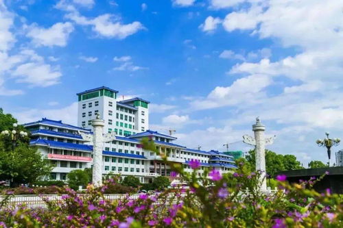 湖北民族大学学生选课系统密码忘记了