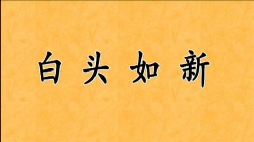 白头如新，白头如新是什么意思