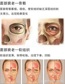 怎么抗衰老，40岁男人怎么抗衰老