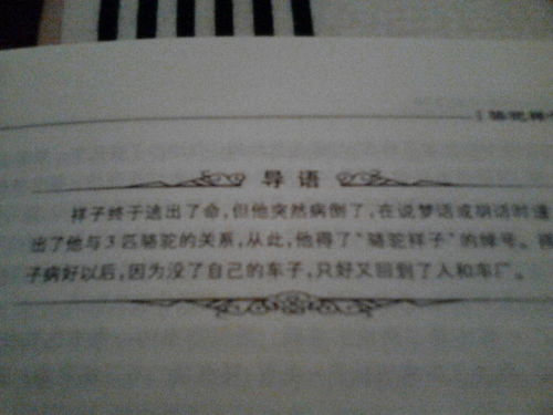 《骆驼祥子》全书概括内容是什么?