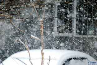 鹅毛大雪造句