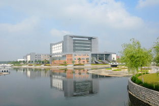 盐城师范学院是985还是211?