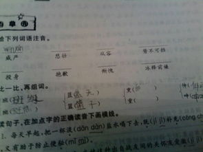 从容的拼音，从容的拼音怎么读