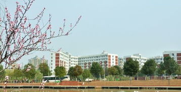 全国三本大学有多少个