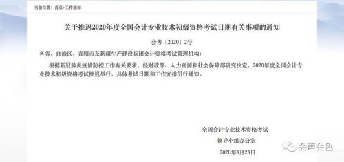 初级会计考什么