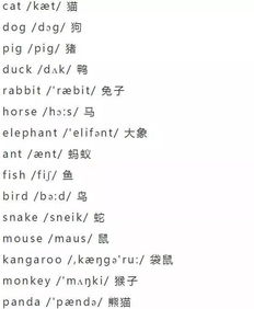 英语单词速记技巧