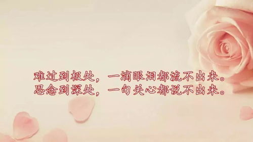 经典语录人生感悟