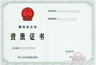资格审查的主要内容