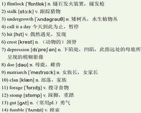 自述的作文400字