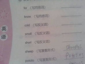 for同音词