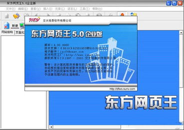 东方网页王，东方网页王下载