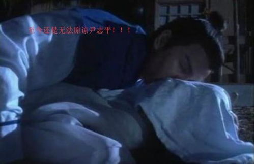 玷污的读音，沾污和玷污的读音