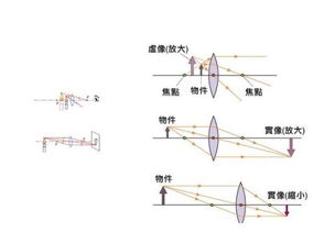 放大镜的原理是什么啊