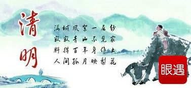 关于清明节的心得感悟5篇