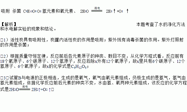 植物光合作用时的化学方程式