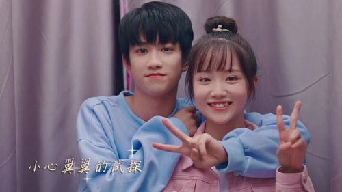 曲折少年，曲折少年网盘资源下载