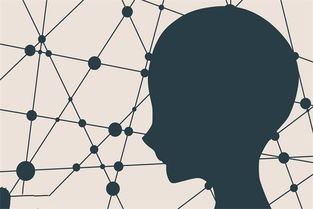 社会环境是指什么?