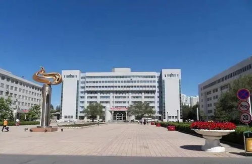 新疆大学旅游管理考研经验分享?