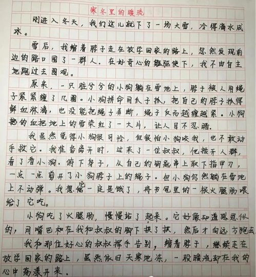 四年级上册作文生活万花400字怎么写
