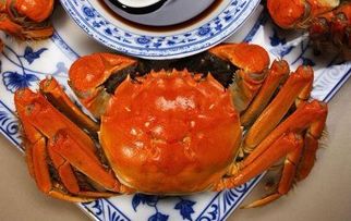 小螃蟹吃米饭吗