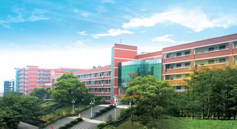 重庆育才中学，重庆育才中学排名第几