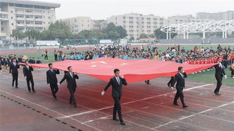 趣味运动会项目有哪些