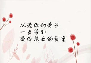 赞美亲情的诗歌