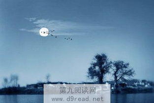 经典的美文好段摘抄