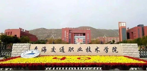 青海交通职业技术学院有哪些专业